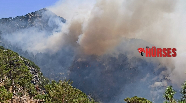 Akseki&#039;deki orman yangınıyla ilgili bir şüpheli tutuklandı