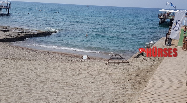 Alanya'da caretta carettalar denizle buluştu