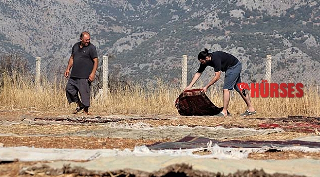Antalya'da 'halı mevsimi' sona erdi hasat başladı