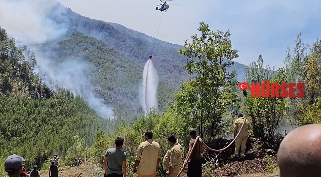 Eynif Ovasına inen yangın, yaban hayatını da etkiliyor