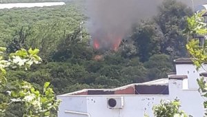 Finike'de sazlık alanda çıkan yangın kontrol altına alındı