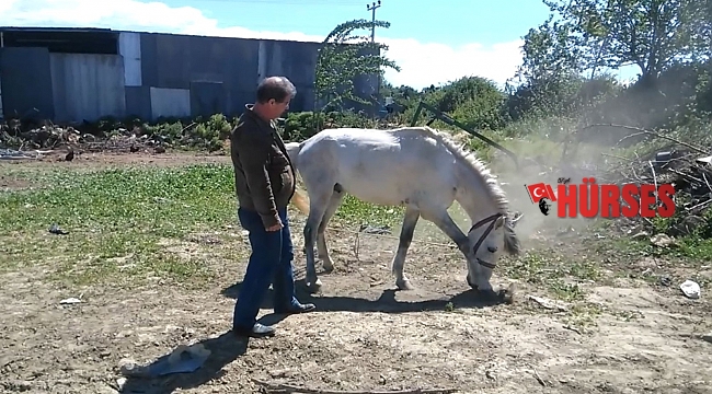 Hırsızlar, 4 bilezikle servet yapan kadının servetine dadandı