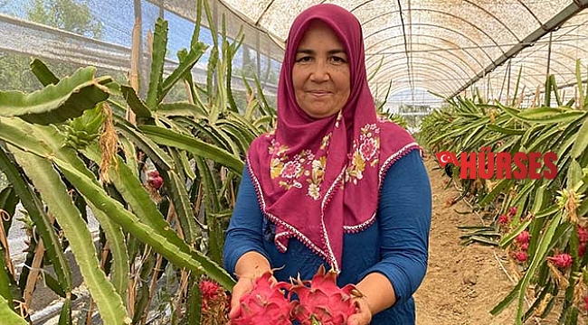 İki yılda yurt dışına açıldı