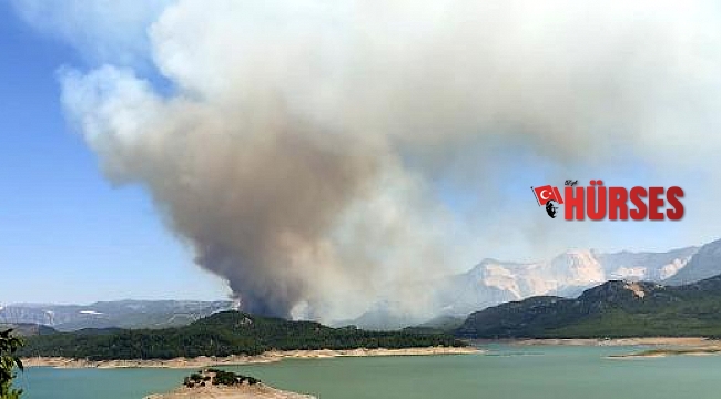 Isparta'da orman yangını