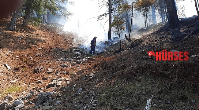 Kadın erkek eline küreği alan yangın bölgesine koştu