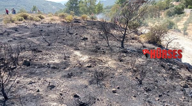 Kaş&#039;da yangın ormana sıçramadan söndürüldü