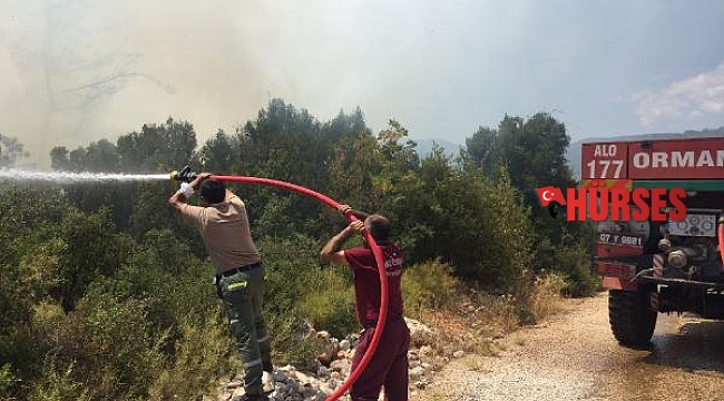 Kaş&#039;ta makilik alanda yangın
