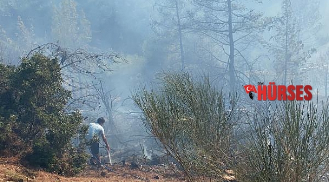 Kaş&#039;ta orman yangını 2 saatte kontrol altına alındı