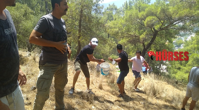 Kemer'de çıkan orman yangınları kontrol altına alındı