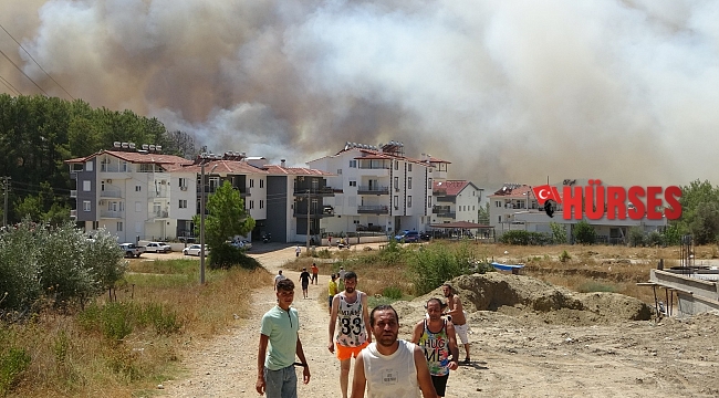 Manavgat'ta çıkan yangın 2 saat sonra kontrol altına alındı