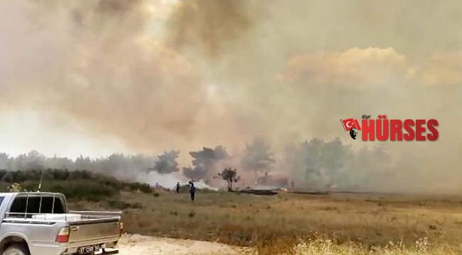 Manavgat&#039;ta orman yangını