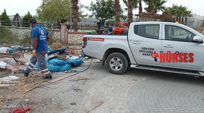 Manavgat'ta orman yangını bölgeleri ilaçlanıyor