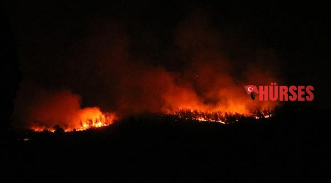 Manavgat'taki büyük yangın 5'inci gününde