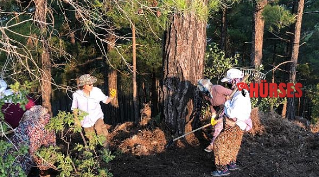 Manavgat'taki büyük yangın 8'inci gününde