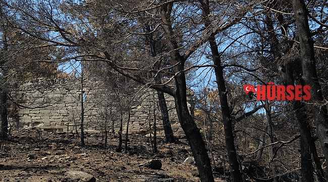 Manavgat'taki yangın Lyrbe Antik Kenti'ne de zarar verdi
