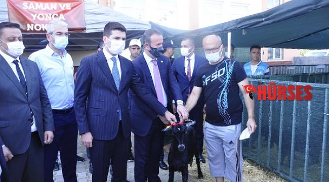 MHP'den yangınzedelere hayvan desteği
