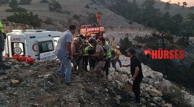 Orman yangınında yanan ağaç devrildi, 2 kişi yaralandı 