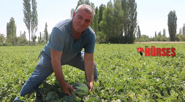 Pandemide işinden ayrıldı, memleketinde kavun karpuz yetiştirmeye başladı