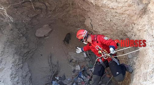 Su kuyusuna düşen domuz yavrusuna halatlı kurtarma