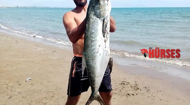 14 kiloluk liça balığı avladılar