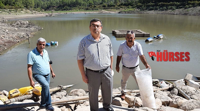 20 bin aynalı sazan gölete bırakıldı