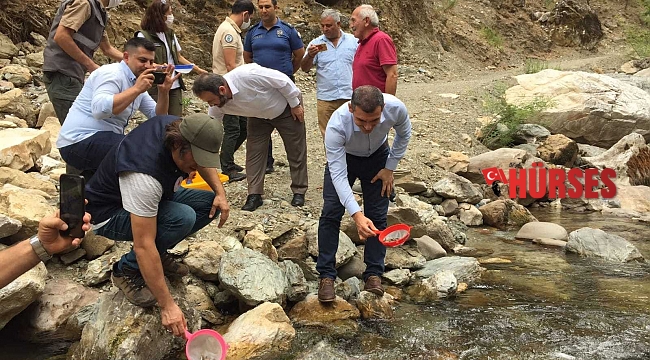Antalya'da Alara Çayı'na 4 bin adet kırmızı benekli alabalık bırakıldı