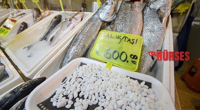 Balık 70, kafasındaki taş 600 lira