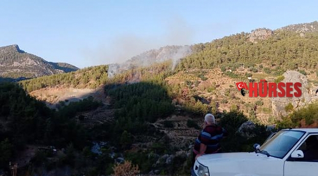Gazipaşa'da orman yangını büyümeden söndürüldü