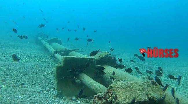 İstilacı balık türleri yönünü Ege denizine çevirdi