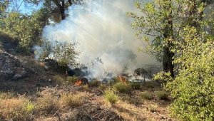 Kaş'ta orman yangını