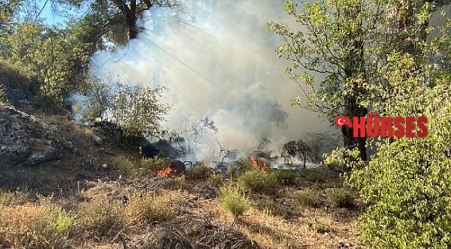 Kaş'ta orman yangını