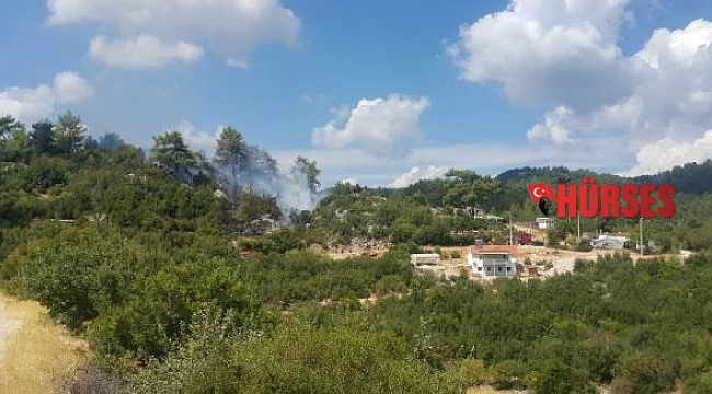 Kaş'ta orman yangını