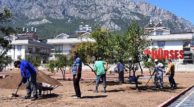 Kuzdere'ye ilk park