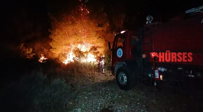 Manavgat'ta orman yangını