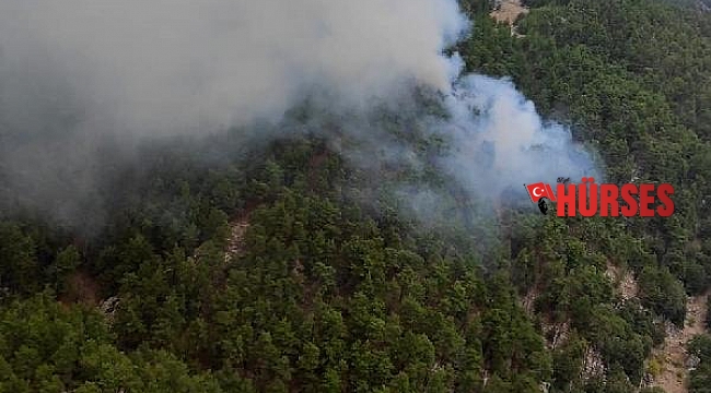 Manavgat'ta orman yangını; 5 saatte kontrol altına alındı - Yeniden