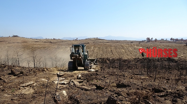 Manavgat'ta yanan ormanlık alanlar iş makineleri tarafından dikime hazırlanıyor