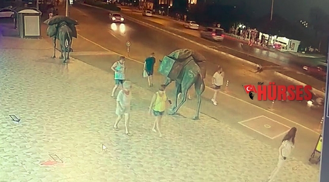 Motosikletin çarpıp metrelerce sürüklediği Alman turist hayatını kaybetti