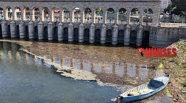 Onlarca canlının yaşam alanı sazlıklar, Beyşehir Gölü'nü koruma adına kesildi