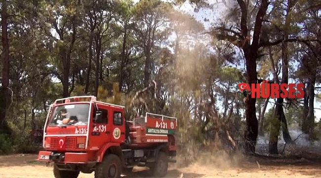 Orman işçisi devrilen ağacın altında kalmaktan son anda kurtuldu