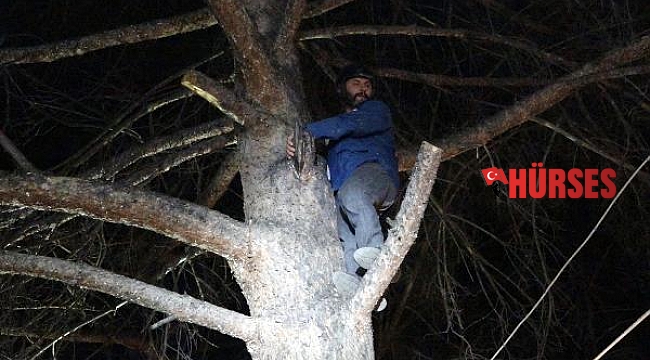 Türbülansa kapılıp, ağaca iniş yapan yamaç paraşütçüsünü itfaiye kurtardı
