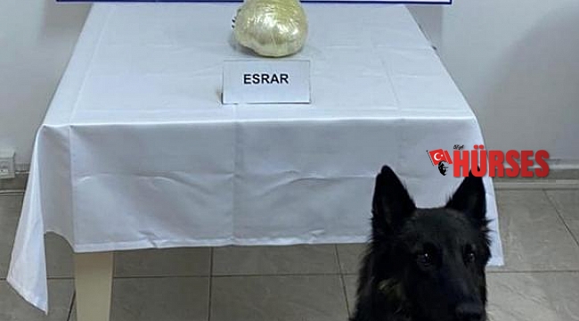 Valizdeki uyuşturucuyu narkotik köpeği buldu