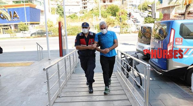 Alanya'da kaçak göçmen operasyonu