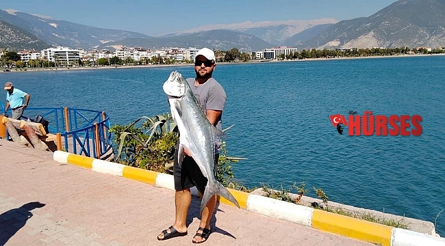 Kıyıdan 15 kiloluk liça balığı avladı