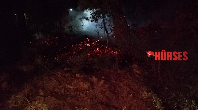 Kumluca&#039;da 3 ayrı yerde eşzamanlı orman yangınları çıktı