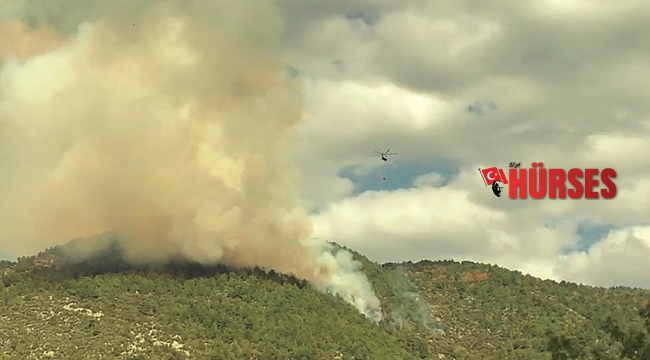 Manavgat'ta 6 hektar ormanlık alan yandı