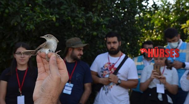 Serik'te 5 bin 200 kuş halkalandı