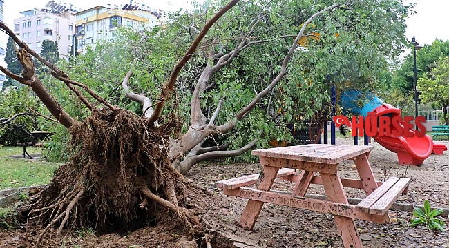 Antalya'da deprem korkusu yaşatan hortum mahalleyi savaş alanına çevirdi