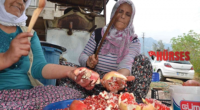 Antalya'da nar ekşisinin şifalı yolculuğu başladı