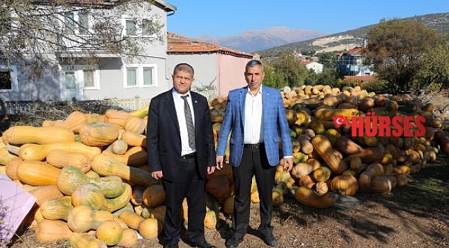 Ata tohumuyla bal kabağı yetiştiren köylüler, 5 milyon lira gelir elde etti