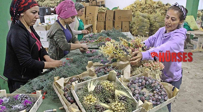 Avrupa'nın Yılbaşı çelenkleri Antalyalı kadınların ellerinden çıkıyor